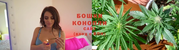 винт Гусиноозёрск