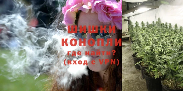 винт Гусиноозёрск