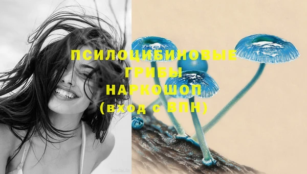 бутик Гусь-Хрустальный